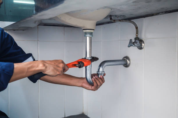 Best Shower Repair Services  in St Michael, MN