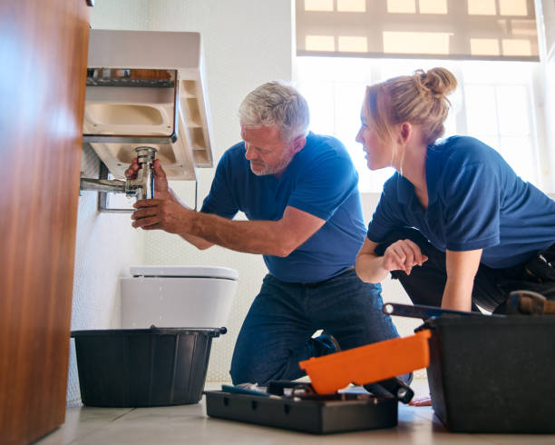 Best Commercial Plumbing Services  in St Michael, MN